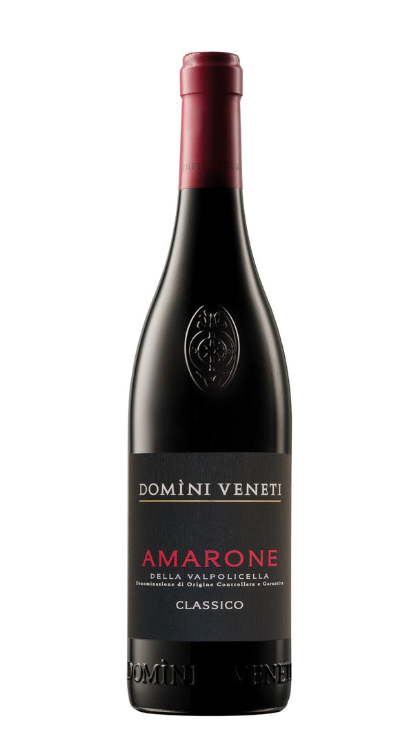 Amarone della Valpolicella Classico Domini Veneti 2019