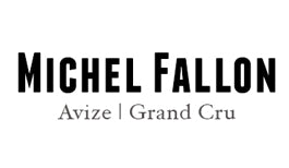 Fallon Michel